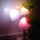 Novelty US & EU Plug Led Night Light Induction Dream Mushroom Fungus 3 LEDs Lamp - nicpigeon