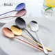 7 Color Stainless Steel Spoons With Long Handle Spoons Rose Gold Soup Spoon for Ice Cream Dinner Spoons Rice/Salad Tableware - nicpigeon